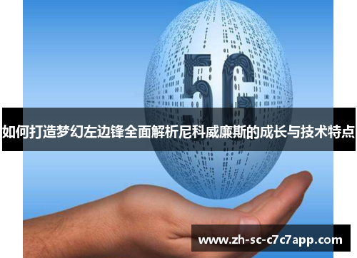 如何打造梦幻左边锋全面解析尼科威廉斯的成长与技术特点